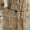 Grafsteen versteend hout 54190