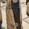 Grafsteen versteend hout 54202