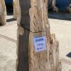 Grafsteen versteend hout 54206