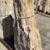Grafsteen versteend hout 54206