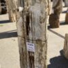 Grafsteen versteend hout 55006