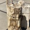 Grafsteen versteend hout 55006