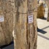Grafsteen versteend hout 55009
