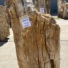 Grafsteen versteend hout 55010