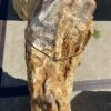 Grafsteen versteend hout 55010