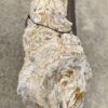 Grafsteen versteend hout 55013