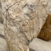 Grafsteen versteend hout 55013