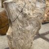Grafsteen versteend hout 55013