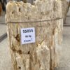 Grafsteen versteend hout 55015