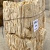 Grafsteen versteend hout 55015