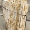 Grafsteen versteend hout 55015