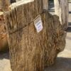 Grafsteen versteend hout 55016