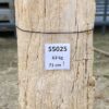 Grafsteen versteend hout 55025