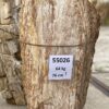 Grafsteen versteend hout 55026
