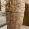 Grafsteen versteend hout 55026
