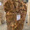 Grafsteen versteend hout 55032