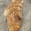 Grafsteen versteend hout 55032