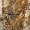 Grafsteen versteend hout 55032