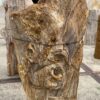 Grafsteen versteend hout 55032
