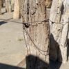 Grafsteen versteend hout 55040