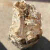 Grafsteen versteend hout 55044