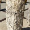 Grafsteen versteend hout 55044