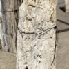Grafsteen versteend hout 55044