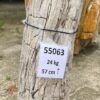 Grafsteen versteend hout 55063