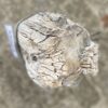 Grafsteen versteend hout 55063