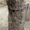 Grafsteen versteend hout 55063