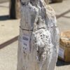 Grafsteen versteend hout 55064