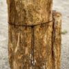 Grafsteen versteend hout 55065