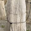 Grafsteen versteend hout 55066