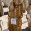 Grafsteen versteend hout 55072