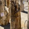 Grafsteen versteend hout 55072