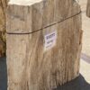 Grafsteen versteend hout 55077