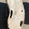 Grafsteen versteend hout 55077