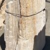 Grafsteen versteend hout 55077