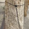 Grafsteen versteend hout 55078