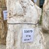 Grafsteen versteend hout 55079