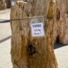 Grafsteen versteend hout 55080