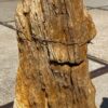 Grafsteen versteend hout 55080