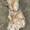 Grafsteen versteend hout 55081