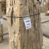 Grafsteen versteend hout 55082