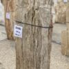 Grafsteen versteend hout 55082