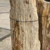 Grafsteen versteend hout 55082