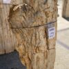 Grafsteen versteend hout 55092