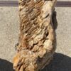 Grafsteen versteend hout 55092