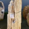 Grafsteen versteend hout 55095
