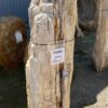 Grafsteen versteend hout 55095